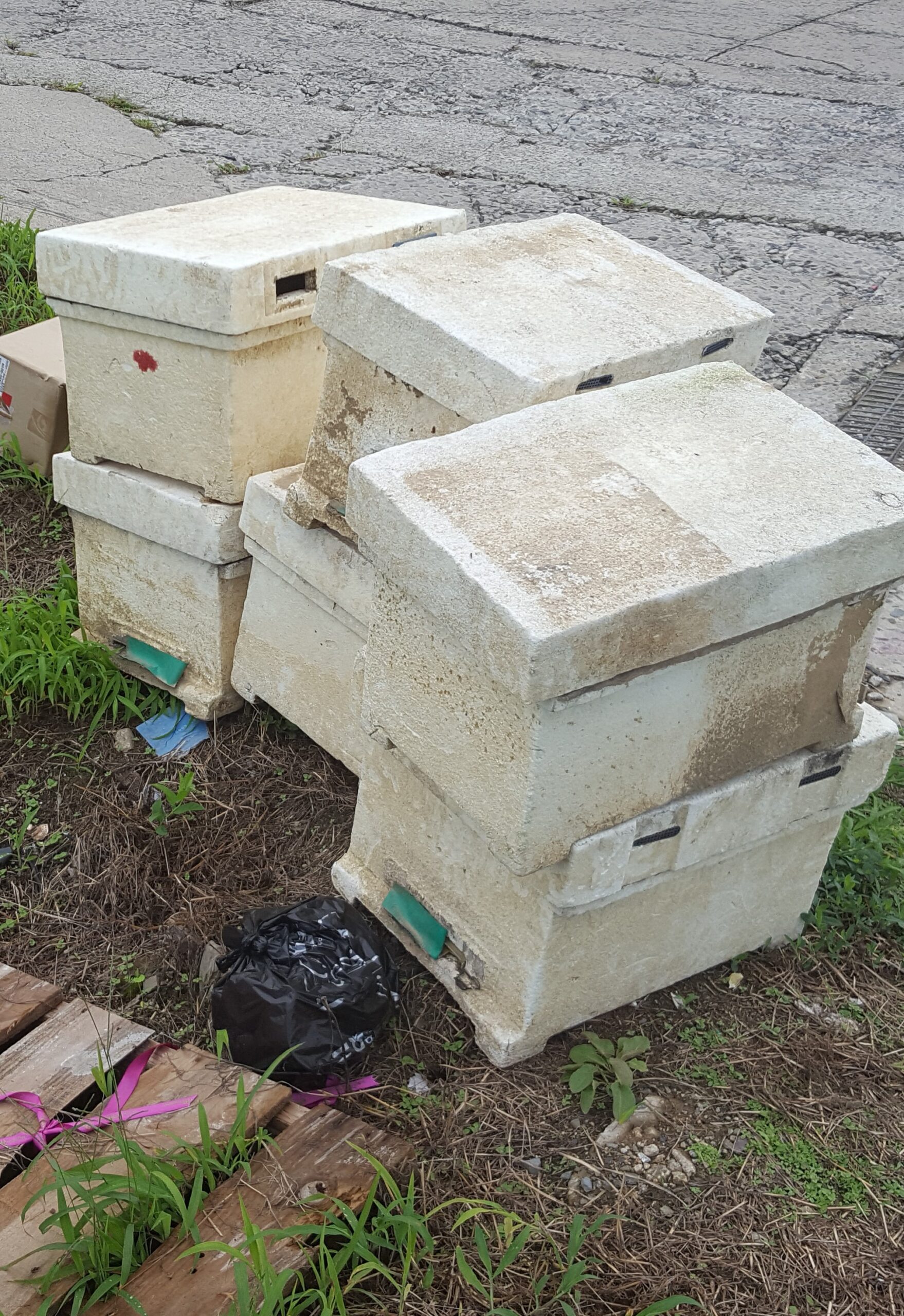 used-bee-hive