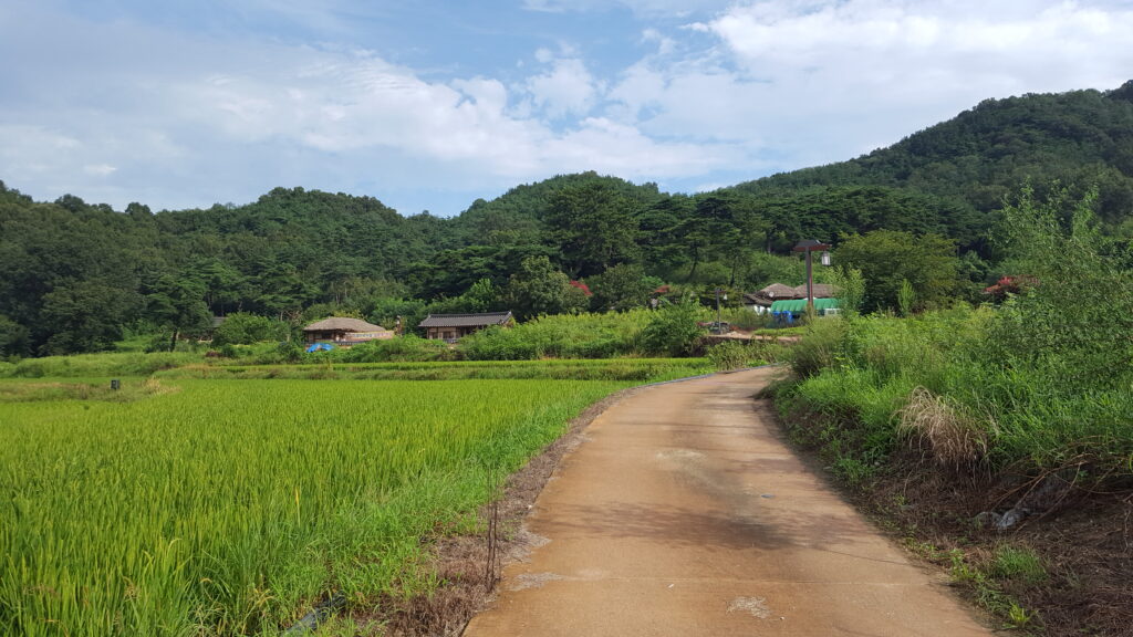 韓国の典型的な農村風景の写真です
