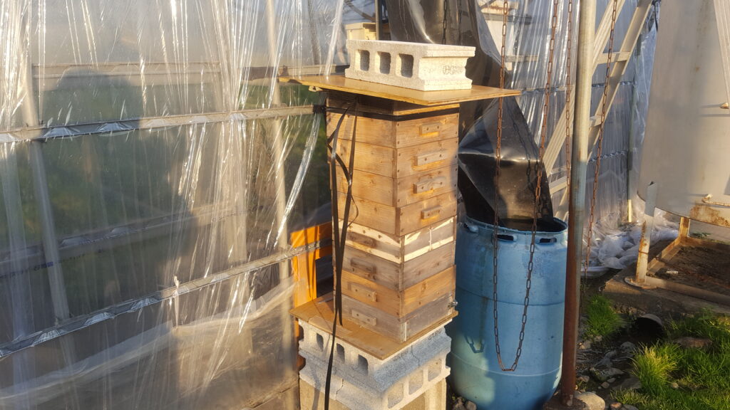 イチゴハウス用のミツバチ巣箱写真です